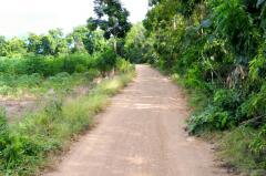 ขาย ที่ดิน เมืองเพชรบูรณ์ 7 ไร่ 3 งาน 27.6 ตร.วา ติดถนนสาธารณะ เหมาะทำบ้านสวนเกษตร-202502250813251740446005022.jpg