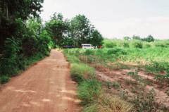 ขาย ที่ดิน เมืองเพชรบูรณ์ 7 ไร่ 3 งาน 27.6 ตร.วา ติดถนนสาธารณะ เหมาะทำบ้านสวนเกษตร-202502250813251740446005667.jpg