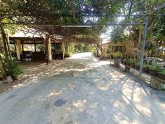 ขายที่ดินพร้อมบ้าน เนื้อที่ 19-3-66 ไร่ ต.ทุ่งหลวง อ.ปากท่อ ราชบุรี-202502251436041740468964250.jpg