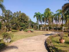 ขายที่ดินพร้อมบ้าน เนื้อที่ 19-3-66 ไร่ ต.ทุ่งหลวง อ.ปากท่อ ราชบุรี-202502251436051740468965033.jpg