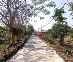 ขายที่ดินพร้อมบ้าน เนื้อที่ 19-3-66 ไร่ ต.ทุ่งหลวง อ.ปากท่อ ราชบุรี-202502251436051740468965706.jpg