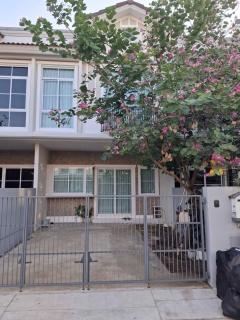 NTG1038 ให้เช่า ทาวน์โฮม วิลลาจจิโอ 2 ศรีนครินทร์-บางนา ใหม่กริบแทบไม่เคยอยู่ แต่งครบ พร้อมอยู่ สามารถเข้าอยู่ได้เลย ใกล้เมกะบางนา-202502251759261740481166045.jpg