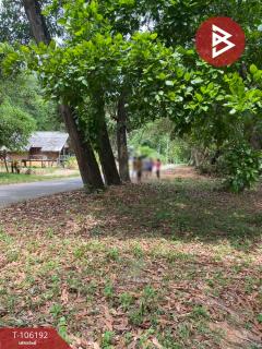  ขายที่ดินเปล่า เนื้อที่ 3 งาน 79.5 เกาะยาว พังงา-202502261209111740546551345.jpg