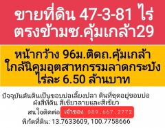 ขายที่ดินลาดกระบัง ถ.คุ้มเกล้า 47ไร่ 381 ตรว. โดยเจ้าของ-202502262048311740577711992.jpg