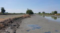 LadKrabang Land for Sale on KhumKlao Road 47rai 381 wahs by OWNER.-202502262055581740578158406.jpg