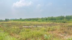 ขายที่ดินเปล่า 2 ไร่ ถนนบางบัวทอง – สุพรรณบุรี (ฤชุพันธ์) ขายเท่าราคาประเมิน #LB07-000965-202502271146421740631602022.jpg