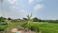 ขายที่ดินเปล่า 2 ไร่ ถนนบางบัวทอง – สุพรรณบุรี (ฤชุพันธ์) ขายเท่าราคาประเมิน #LB07-000965-202502271146431740631603692.jpg