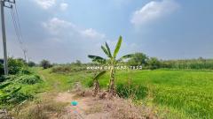 ขายที่ดินเปล่า 2 ไร่ ถนนบางบัวทอง – สุพรรณบุรี (ฤชุพันธ์) ขายเท่าราคาประเมิน #LB07-000965-202502271146441740631604452.jpg