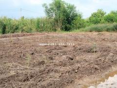 ขายที่ดินเปล่า 2 ไร่ ถนนบางบัวทอง – สุพรรณบุรี (ฤชุพันธ์) ขายเท่าราคาประเมิน #LB07-000965-202502271146461740631606038.jpg