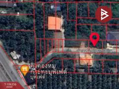 ขายที่ดินเปล่า เนื้อที่ 89 ตร.วา บางคนที สมุทรสงคราม-202502271246161740635176912.jpg