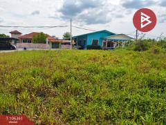 ขายที่ดินเปล่า-เนื้อที่-55.7-ตร.วา-เกาะ