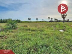 ขาย/เช่าบ้านเดี่ยว หมู่บ้านพฤกษ์ลดา บางนา กม.26 (Pruklada Bangna KM.26) สมุทรปราการ-202502271443281740642208761.jpg