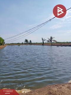 ขายที่ดิน เนื้อที่ 3 ไร่ 2 งาน 25 ตร.วา บางปะกง ฉะเชิงเทรา-202502271507331740643653097.jpg