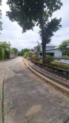 ขายที่ดิน 127ต.ร.ว.หมู่บ้าน เลควิว พาร์ค 2 ถนนวงแหวนรอบนอก ต.สันผีเสื้อ อ.เมือง ซอย26 เหมาะสร้างบ้านพักอาศัย-202502271622581740648178815.jpg