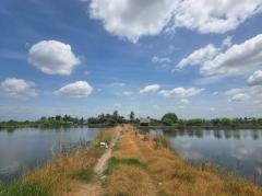 WS ขาย ที่ดิน ใกล้ศูนย์ราชการนครปฐม ต.ถนนขาด อ.เมือง นครปฐม  25 ไร่-202502271917211740658641625.jpg