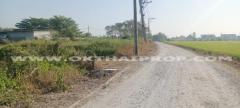 ที่ดินถมแล้ว ต.หนองเพรางาย อ.ไทรน้อย จ.นนทบุรี-202502281034021740713642072.jpg
