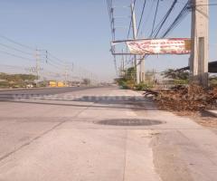 ที่ดินถมแล้ว ต.หนองเพรางาย อ.ไทรน้อย จ.นนทบุรี-202502281034121740713652023.jpg