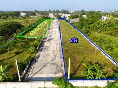 ขาย-ที่ดิน-จัดสรร-22-แปลง-น้ำไม่ท่วมที