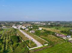 ขาย ที่ดิน จัดสรร 22 แปลง น้ำไม่ท่วมที่ดิน  3 ไร่ 2 งาน 46.7 ตร.วา ถมสูงแล้วนาน 10 ปี-202502281858401740743920897.jpg