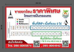 ขาย ที่ดิน จัดสรร 22 แปลง น้ำไม่ท่วมที่ดิน  3 ไร่ 2 งาน 46.7 ตร.วา ถมสูงแล้วนาน 10 ปี-202502281858431740743923742.jpg