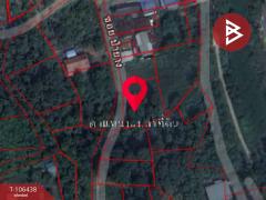 ขายที่ดินเปล่า เนื้อที่ 2 งาน 51.3 ตร.วา ลับแล อุตรดิตถ์-202503011255441740808544065.jpg