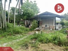 ขายที่ดิน เนื้อที่ 2 งาน 31 ตตร.วา บ้านบึง ชลบุรี-202503011520331740817233980.jpg