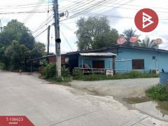 ขายที่ดิน เนื้อที่ 2 งาน 31 ตตร.วา บ้านบึง ชลบุรี-202503011520361740817236075.jpg