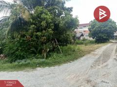 ขายที่ดิน เนื้อที่ 2 งาน 31 ตตร.วา บ้านบึง ชลบุรี-202503011520361740817236726.jpg