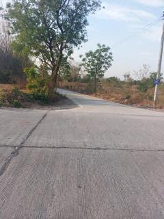 ขายที่ดินบ้านโนนตาลอำเภอขามทะเลสอ นครราชสีมา-202503011816101740827770590.jpeg