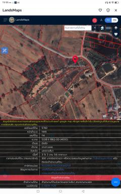 ขายที่ดินบ้านโนนตาลอำเภอขามทะเลสอ นครราชสีมา-202503011816111740827771406.jpg