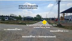 ขาย ที่ดิน บ้านโตนด ม.10 ต.หนองระเวียง อ.เมืองนครราชสีมา จัดสรรอู่ทองแลนด์ เนื้อที่ 87 ตรว ถมแล้วสูงกว่าถนน 1 ม. เจ้าของขายเอง ฟรีโอน-202503011940181740832818064.jpg
