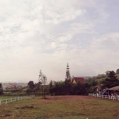 ขายด่วน ที่ดิน 1 ไร่  9ตร.วา มองเห็นวิวกังหันลม  บ้านนายาว ต.ทุ่งสมอ อ.เขาค้อ จ.เพชรบูรณ์