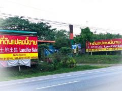 Land for investment in Thailand, 泰國投資用地, タイの投資用土地 ปักธงชัย โคราช ติด ถนน 304 นครราชสีมา-กบินทร์บุรี-202503021113561740888836892.jpg