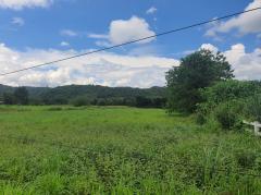 ขาย ที่ดิน เขาใหญ่ ต.หมูสี อ.ปากช่อง 5 ไร่ ถนนดี วิวสวย คุ้มสุดๆ-202503021810371740913837802.jpg
