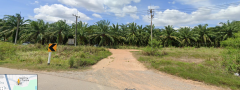 ที่ดินชุมพร15ไร่ติดถนนหลวง-202503031909551741003795940.png