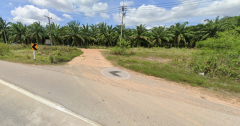 ที่ดินชุมพร15ไร่ติดถนนหลวง-202503031910011741003801505.png
