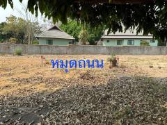 แบ่งขายที่ดิน หลังสวนนงนุช ใกล้ม.แม่โจ้ เชียงใหม่ 2 แปลง 166.8 และ 195.1 ตร.ว-202503040724081741047848421.jpg