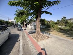 ให้เช่าที่ดินเปล่าถมแล้ว 185 ตรว. ซอยลาดพร้าว 71 (N.1025)-202503041017151741058235358.jpg