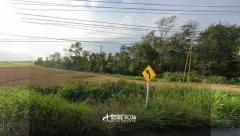 ที่ดินตรงข้ามที่ทำการองค์การบริหารส่วนตำบลโพธิ์ตรุ จังหวัดลพบุรี -202503041428331741073313245.jpg