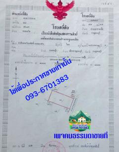 ขายที่ดินกาญจนบุรี 200 ตารางวา ราคา 140,000 บาท ฟรีค่าโอน