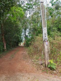ขายที่ดินพร้อมไม้ยืนต้น 10 ไร่ ใจกลางสวนทุเรียน อ.เขาสมิง จ.ตราด-202503041621291741080089975.jpg