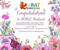 ขาย ที่ดิน ในย่านชุมชนบ้านวัด ต.เทพาลัย อ.คง นครราชสีมา ใกล้พืชสวนโลก ปี 2572 เนื้อที่ 13 ไร่ ผังเมืองสีชมพู-202503041700571741082457771.jpg