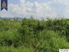 ขายที่ดิน อ.เมือง ชลบุรี 13 ไร่ ติดถนนข้าวหลามหน้าการเคหะพร้อมพัฒนาเชิงพาณิชย์-202503041757431741085863241.jpg