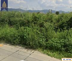 ขายที่ดิน อ.เมือง ชลบุรี 13 ไร่ ติดถนนข้าวหลามหน้าการเคหะพร้อมพัฒนาเชิงพาณิชย์-202503041757441741085864530.jpg