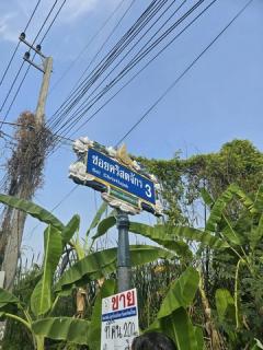 พื้นที่ดิน - 200 ตร.ว.  25000 -   สภาพเยี่ยม