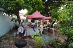 ขายที่ดิน เพชรเกษม 96 เนื้อที่ 50 ตร.ว.เขตภาษีเจริญ ใกล้เดอะมอลล์ บางแค,รพ.เกษมราษฎร์ บางแค,อยู่ระหว่างพุทธมณฑลสาย 2 และสาย 3-202503051244401741153480908.jpg