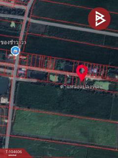 ขายที่ดิน เนื้อที่ 2 งาน ลาดกระบัง กรุงเทพมหานคร-202503051546131741164373118.jpg