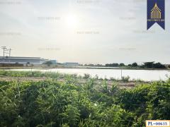 ขาย ที่ดิน เหมาะทำโครงการจัดสรร ติดถนนสาธารณะ เทพารักษ์ ทำเลดี-202503051658491741168729028.jpg