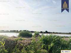 ขาย ที่ดิน เหมาะทำโครงการจัดสรร ติดถนนสาธารณะ เทพารักษ์ ทำเลดี-202503051658511741168731234.jpg