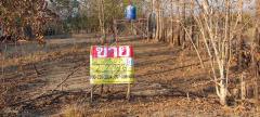 ขายที่ดิน พร้อมบ้าน  2-2-98  ไร่   น้ำเลา  ร้องกวาง  แพร่   ZW509